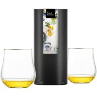 Eisch Rising Allroundbecher 400 ml 2er Set Platin in...