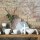 Villeroy & Boch Flow Brunch-Set 18-teilig