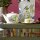 Villeroy & Boch Amazonia Tee-Set 13-teilig