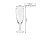 Sektgläser ROYALTY 100 ml geeicht Name horizontal 6 Stück
