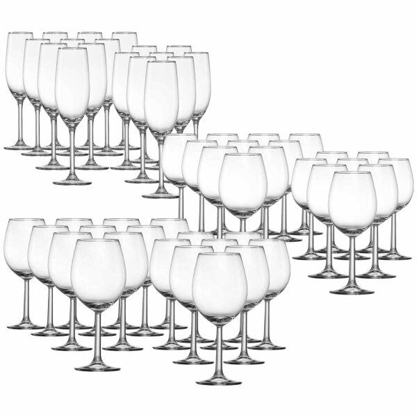 Ritzenhoff & Breker Vio 4Gastro Wein- / Sektgläser-Set 54-teilig