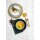 Seltmann Weiden Life Fashion Pasta-/Suppenteller ø 23 cm 6er Set - Posh Rose