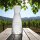 Karaffe / Vase Ypsilon 1 Liter 6er Set - Text horizontal