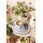 Seltmann Weiden Liberty Pure Colors Brotteller ø 17,5 cm 6er Set - New Grey