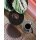 Seltmann Weiden Life Fashion Brotteller ø 16,5 cm 6er Set - Glamorous Black