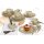 Seltmann Weiden Beat Color Glaze Kombiservice 30-teilig - Sandbeige