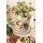 Seltmann Weiden Liberty Pure Colors Teeservice 18-teilig - Dusty Beige