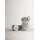 Seltmann Weiden Sento Home Kombiservice 30-teilig - Aura cream