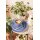 Seltmann Weiden Liberty Pure Colors Kombiuntertasse ø 16 cm 6er Set - Grape Purple