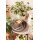 Seltmann Weiden Liberty Pure Colors Speiseteller ø 27 cm 6er Set - Cocoa Brown