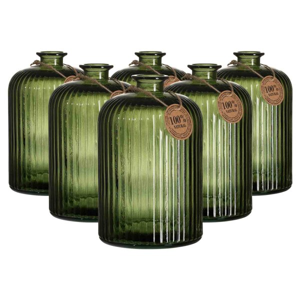Ritzenhoff & Breker Guyana Stripes Vase 24 cm 6er Set