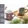 Ritzenhoff & Breker Aspen Kaffeebecher auf Ski 340 ml rot 24er Set