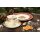 Seltmann Weiden Marieluise Weihnachtsnostalgie Kaffeetasse mit Untertasse 230 ml 6er Set