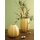 Goebel Concave Colori Vase 16 cm