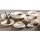 Ritzenhoff & Breker Cosmo Dipschale 11,5 x 8,5 cm 6er Set grau