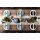 Seltmann Weiden Life Fashion Basic-Set 6-teilig - Trendy Petrol