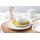 Seltmann Weiden Liberty Meadow Grasses Kombiservice 30-teilig Curry