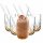 Leonardo GOCCE Caramel Macchiato Glas (2) 390 ml mit Glastrinkhalm 6er Set