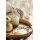 Leonardo GOCCE Matcha Latte Glas (2) 390 ml mit Glastrinkhalm 6er Set