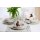 Ritzenhoff & Breker Cecina Einsteiger-Set 16-teilig gemischt - Beige / Graphit