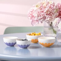 Villeroy & Boch Fleur Couleur Beilagenschale ø...