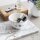 Villeroy & Boch Vieux Luxembourg Einsteiger-Set 8-teilig