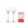 Spiegelau Definition Digestifglas 130 ml 2er Set + Poliertuch
