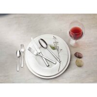 Villeroy & Boch Victor Tafelbesteck 144-teilig...