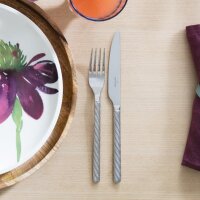 Villeroy & Boch Montauk Tafelmesser 6er Set