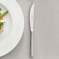 Villeroy & Boch Piemont Tafelmesser 6er Set