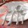 Villeroy & Boch Udine Tafelgabel 6er Set