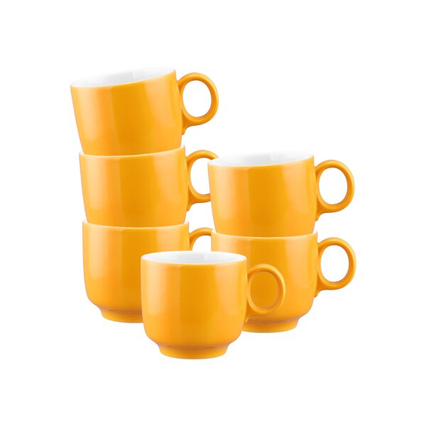 Seltmann Weiden Sento Home Pure Colors Cappuccinotasse 300 ml 6er Set - Mango Orange
