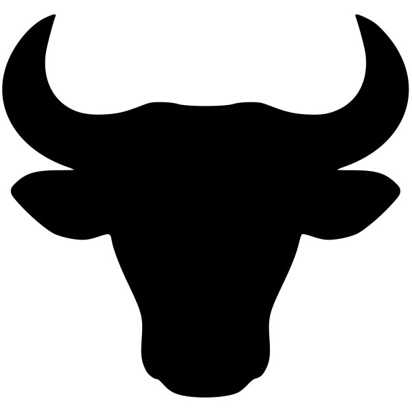 Stier