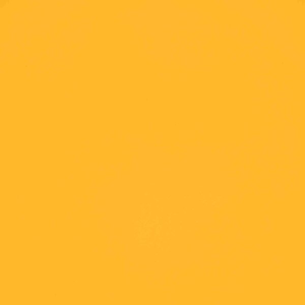 Mango Orange
